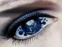 oeil